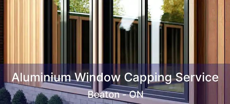  Aluminium Window Capping Service Beaton - ON