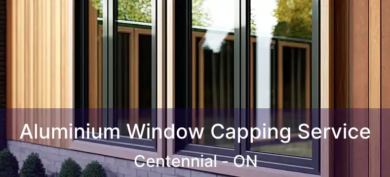  Aluminium Window Capping Service Centennial - ON