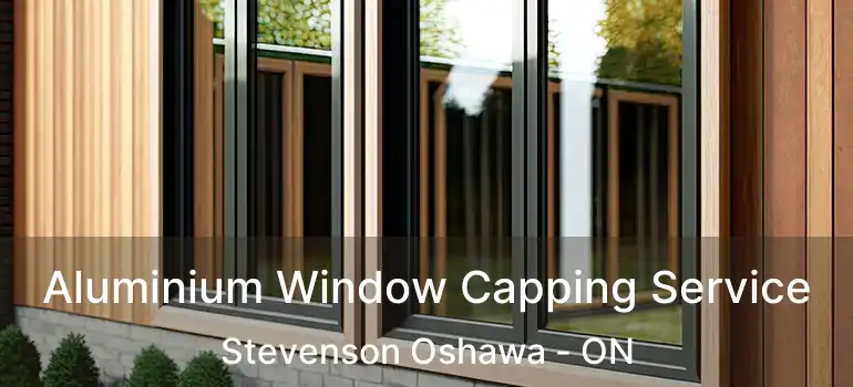  Aluminium Window Capping Service Stevenson Oshawa - ON