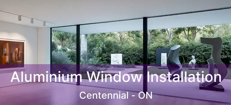  Aluminium Window Installation Centennial - ON