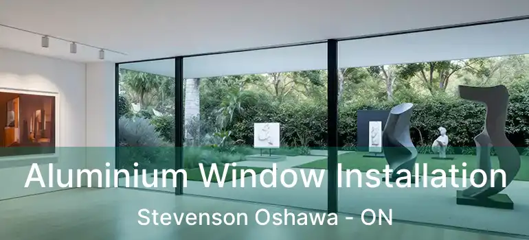  Aluminium Window Installation Stevenson Oshawa - ON