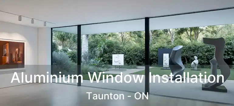  Aluminium Window Installation Taunton - ON