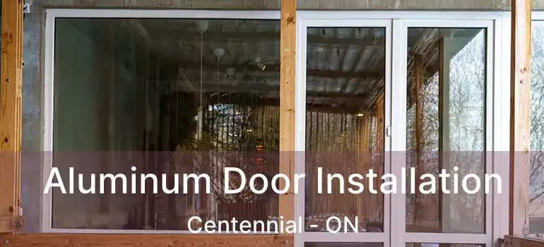  Aluminum Door Installation Centennial - ON