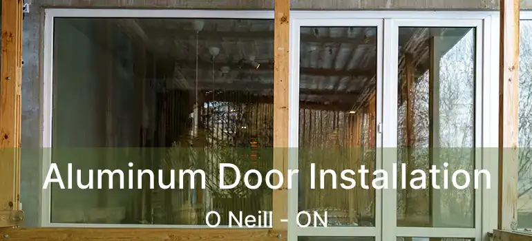  Aluminum Door Installation O Neill - ON