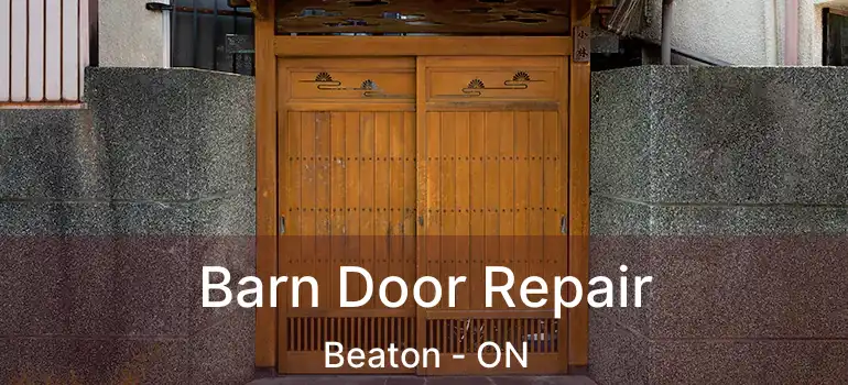  Barn Door Repair Beaton - ON