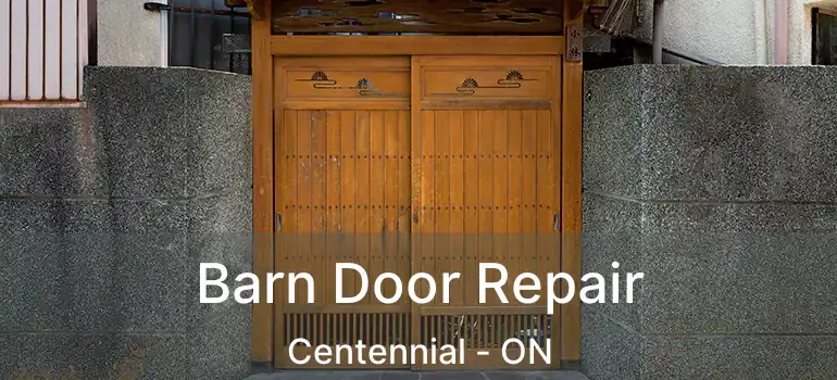  Barn Door Repair Centennial - ON