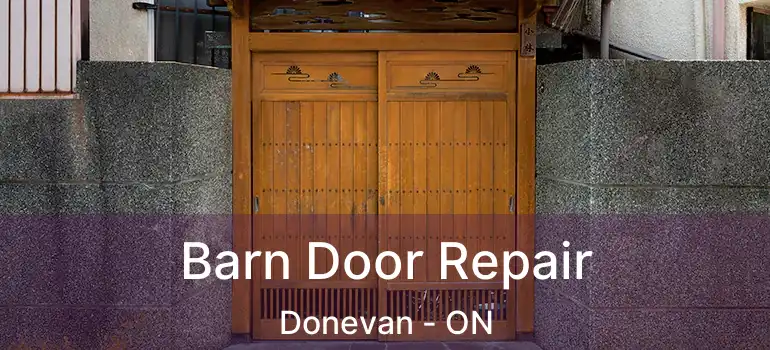  Barn Door Repair Donevan - ON