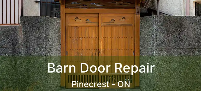  Barn Door Repair Pinecrest - ON