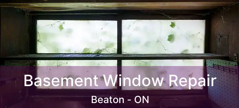  Basement Window Repair Beaton - ON