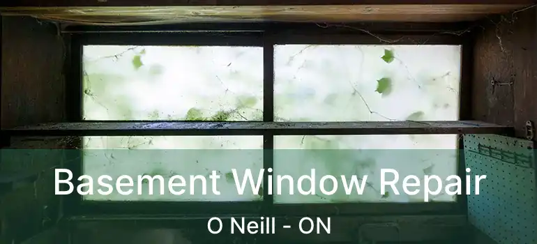  Basement Window Repair O Neill - ON