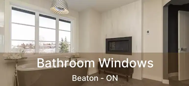  Bathroom Windows Beaton - ON