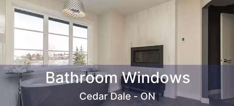  Bathroom Windows Cedar Dale - ON