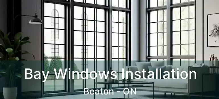  Bay Windows Installation Beaton - ON