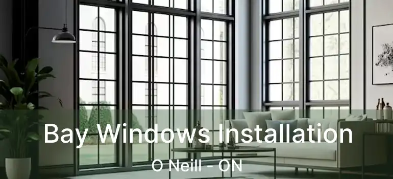  Bay Windows Installation O Neill - ON