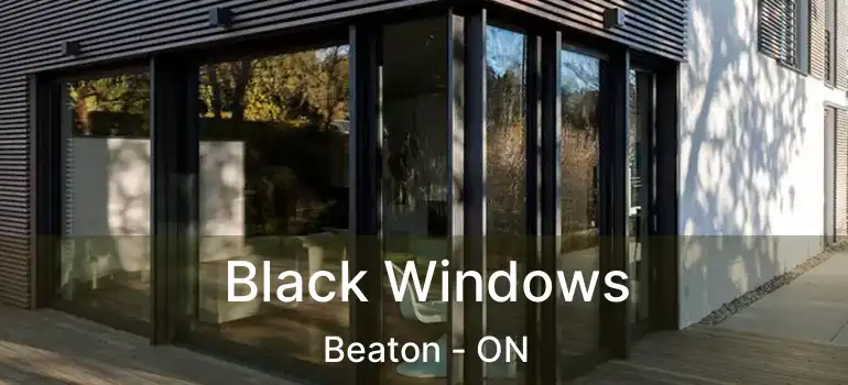  Black Windows Beaton - ON