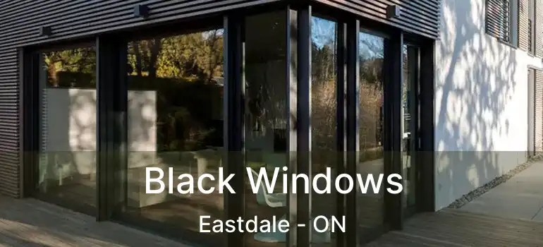  Black Windows Eastdale - ON