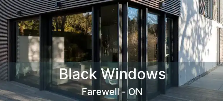  Black Windows Farewell - ON