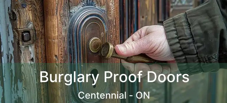  Burglary Proof Doors Centennial - ON