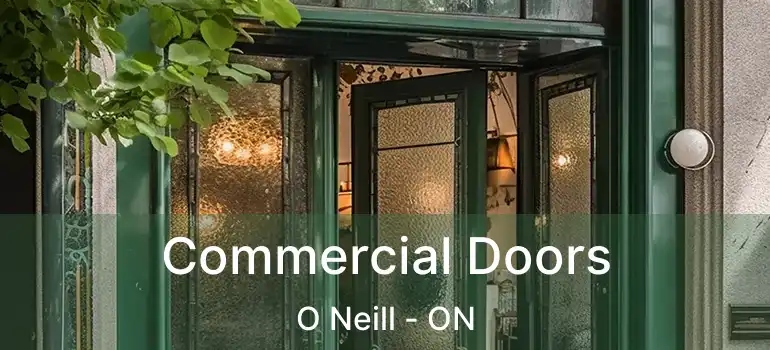  Commercial Doors O Neill - ON