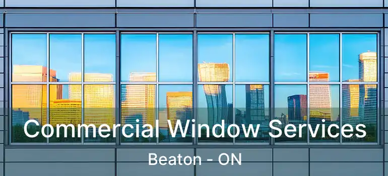  Commercial Window Services Beaton - ON