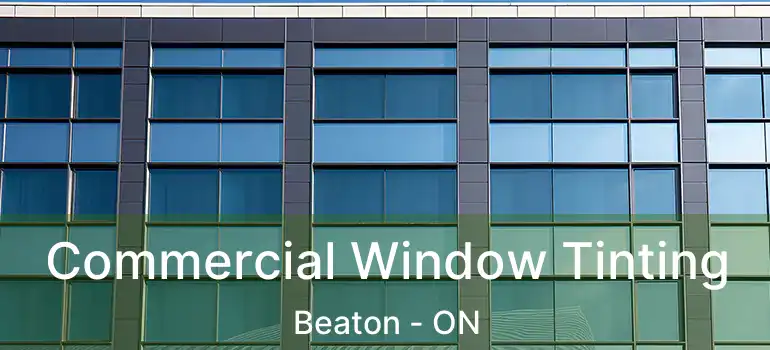  Commercial Window Tinting Beaton - ON