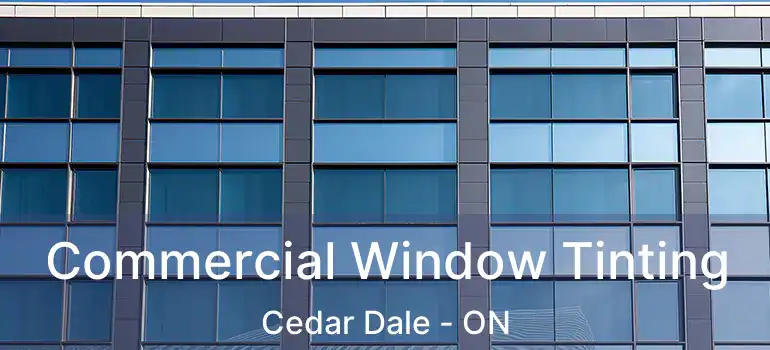  Commercial Window Tinting Cedar Dale - ON