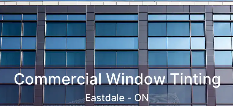  Commercial Window Tinting Eastdale - ON