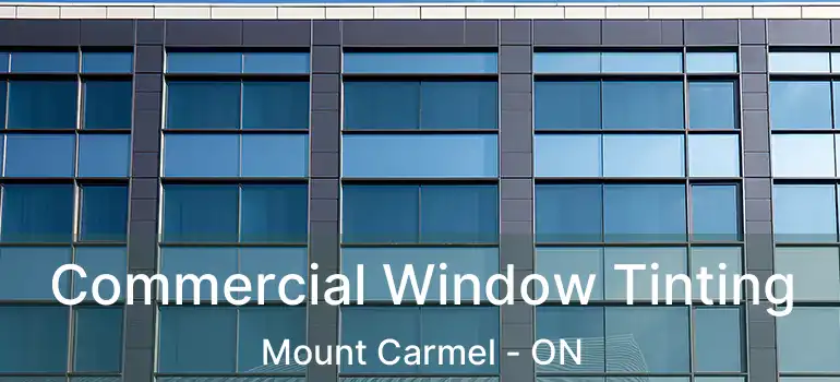  Commercial Window Tinting Mount Carmel - ON