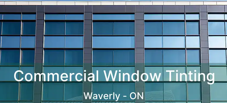  Commercial Window Tinting Waverly - ON