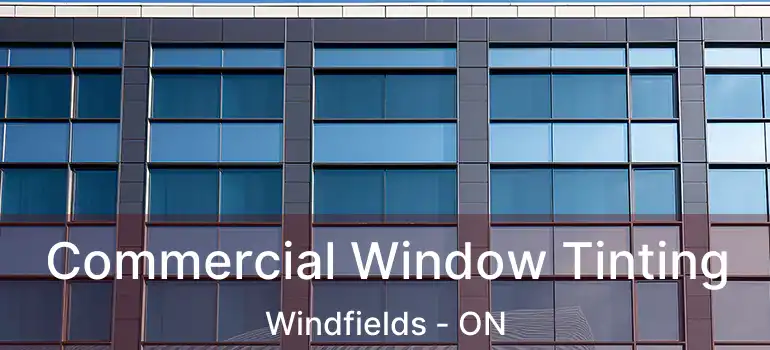  Commercial Window Tinting Windfields - ON