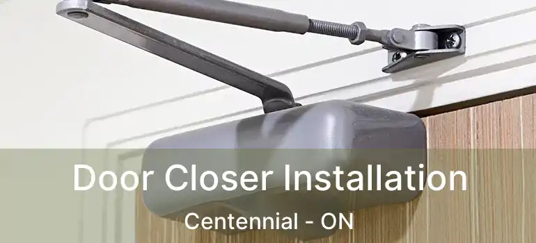  Door Closer Installation Centennial - ON