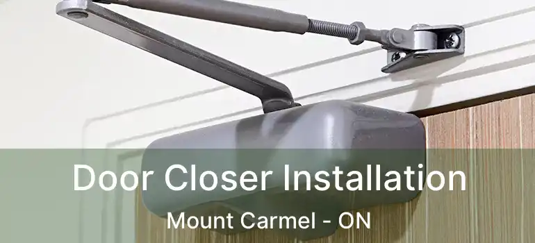  Door Closer Installation Mount Carmel - ON