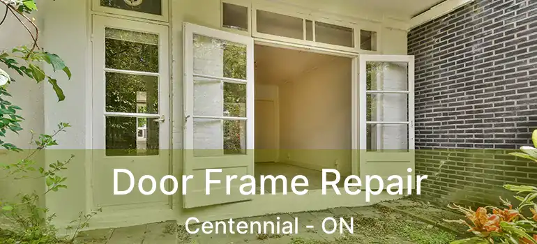  Door Frame Repair Centennial - ON