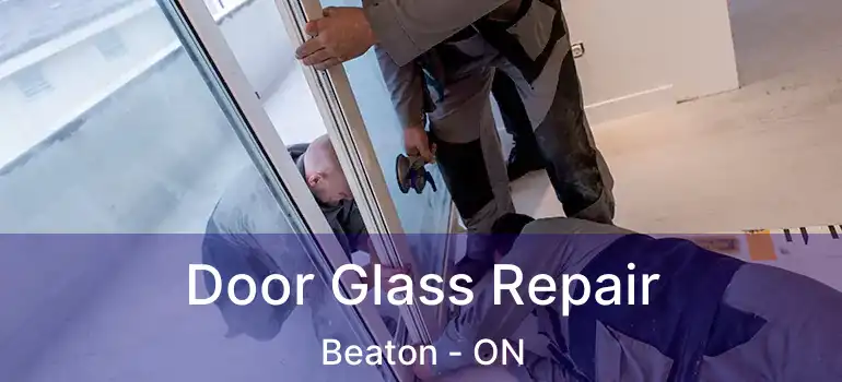  Door Glass Repair Beaton - ON