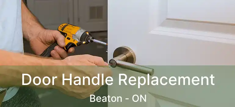  Door Handle Replacement Beaton - ON