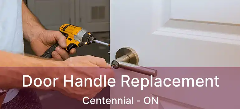  Door Handle Replacement Centennial - ON