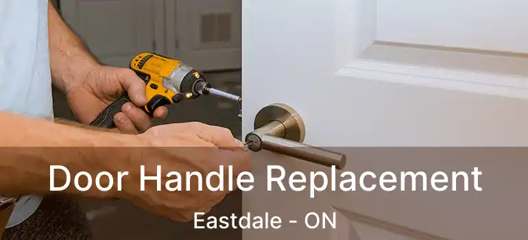  Door Handle Replacement Eastdale - ON