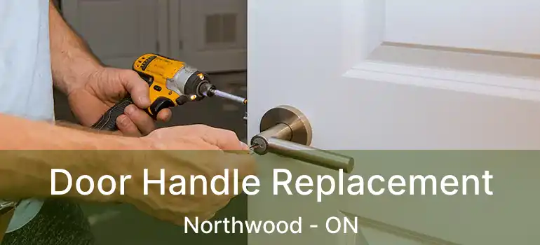  Door Handle Replacement Northwood - ON