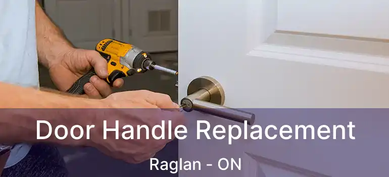  Door Handle Replacement Raglan - ON