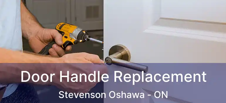  Door Handle Replacement Stevenson Oshawa - ON