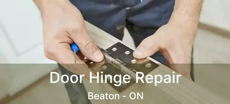  Door Hinge Repair Beaton - ON