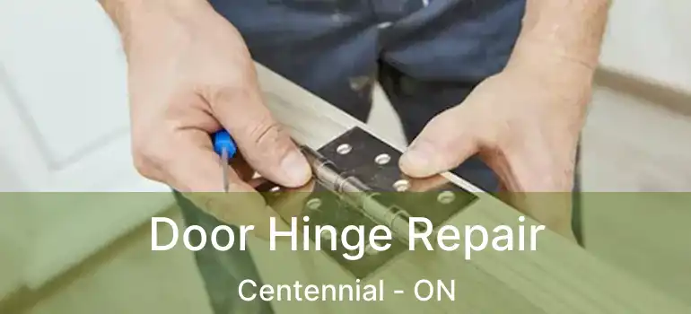  Door Hinge Repair Centennial - ON