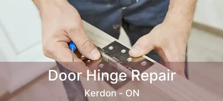  Door Hinge Repair Kerdon - ON