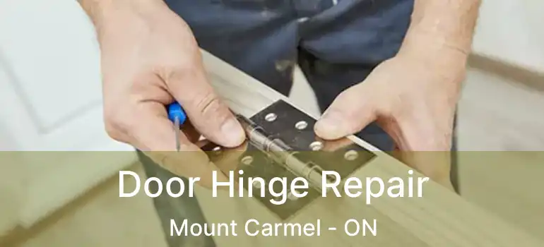  Door Hinge Repair Mount Carmel - ON