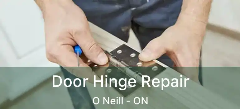  Door Hinge Repair O Neill - ON