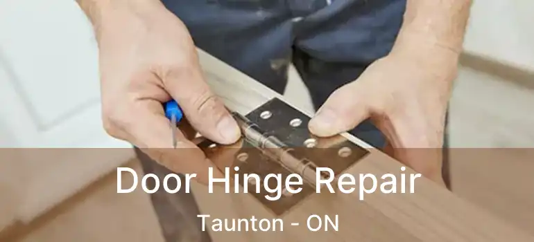  Door Hinge Repair Taunton - ON