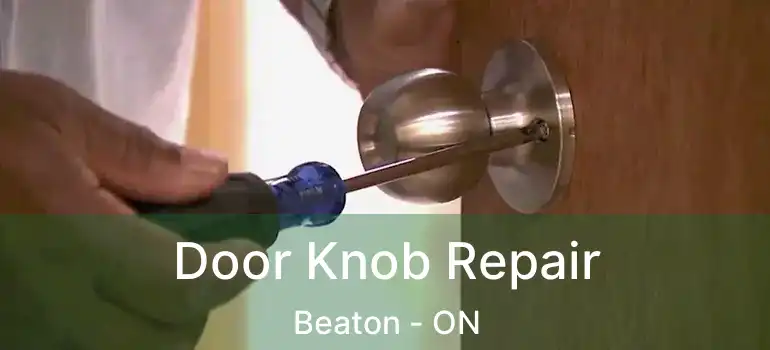  Door Knob Repair Beaton - ON