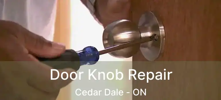  Door Knob Repair Cedar Dale - ON