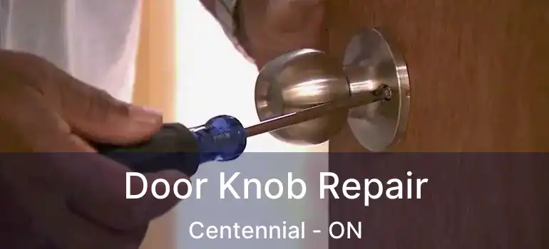  Door Knob Repair Centennial - ON