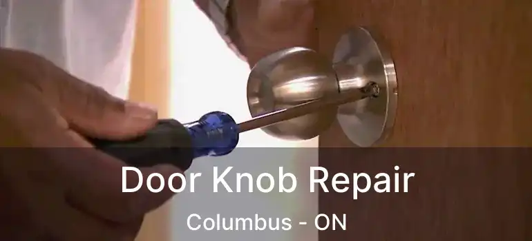  Door Knob Repair Columbus - ON